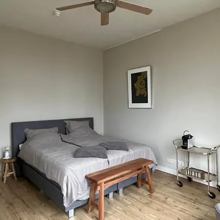 Bed and breakfast Luxe In Stadsvilla, Gratis Parkeren!