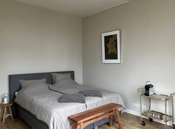 Bed & Breakfast Luxe In Stadsvilla, Gratis Parkeren!