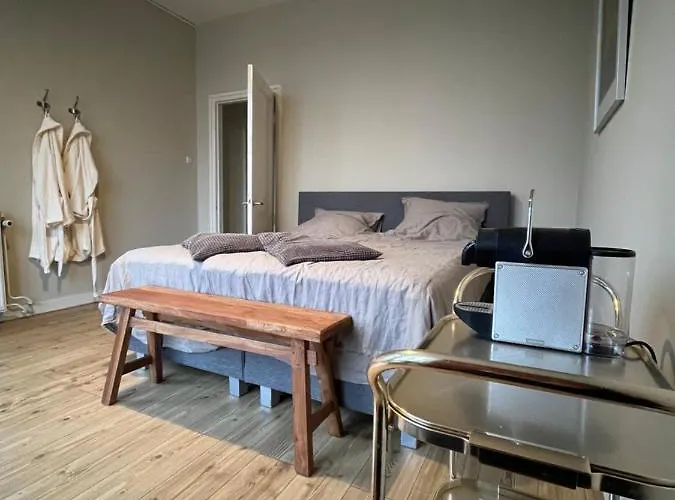 Luxe In Stadsvilla, Gratis Parkeren! 阿帕多恩