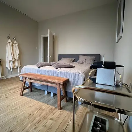 Luxe In Stadsvilla, Gratis Parkeren! Apeldoorn